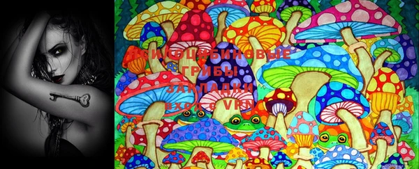 MDMA Новодвинск