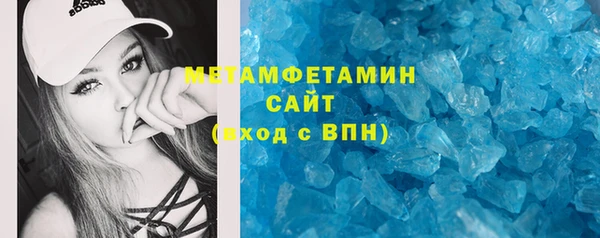 индика Новозыбков