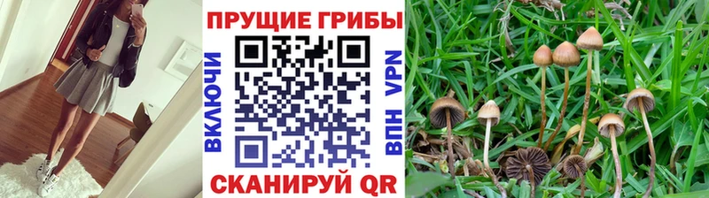 Галлюциногенные грибы мицелий  Апатиты 