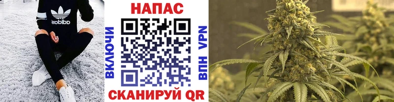 Каннабис тримм  где продают   Апатиты 